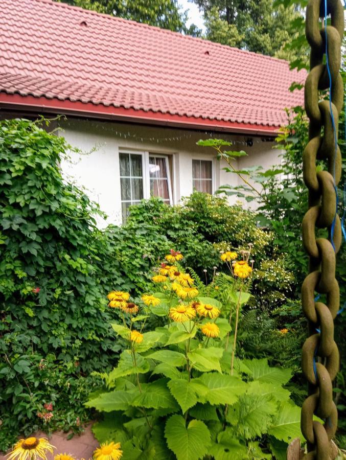 Bialy Dom Ściegny Exterior foto